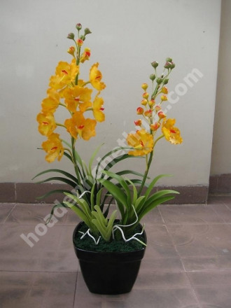 Yên Bái - Lễ hội đình Làng Dọc